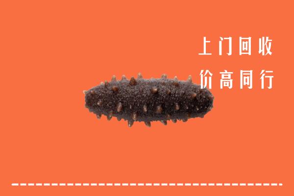 马鞍山回收海参