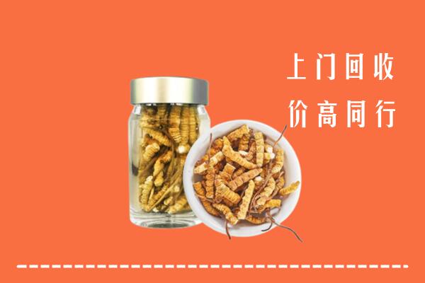收购行情：马鞍山回收冬虫夏草
